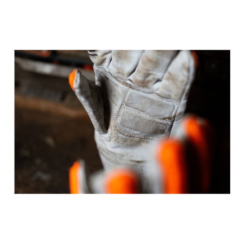 The Dragster | PNT-0815