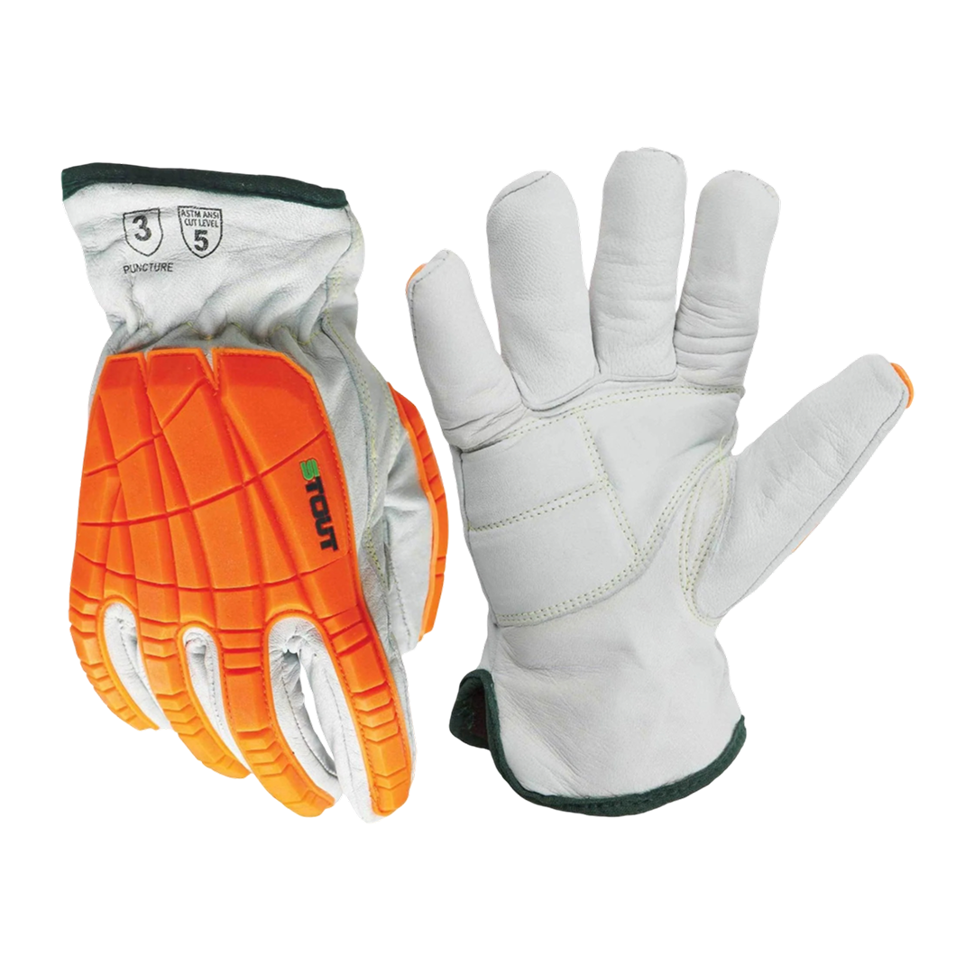 The Fastback | WPNT-0812