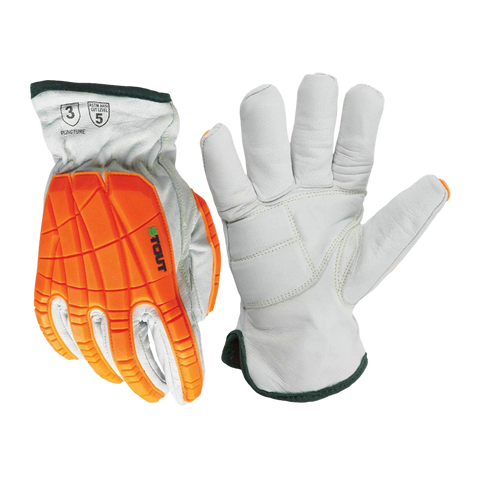 The Fastback | WPNT-0812