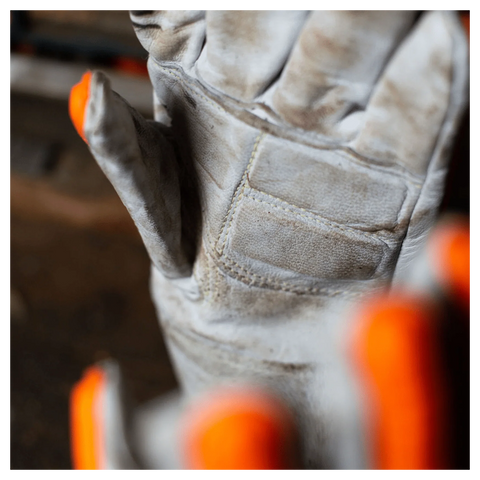 The Dragster | WPNT-0815