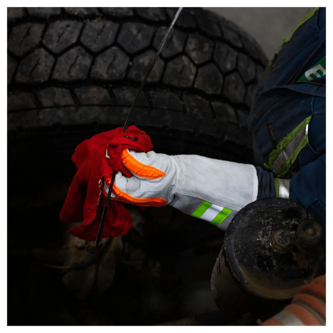 The Dragster | WPNT-0815