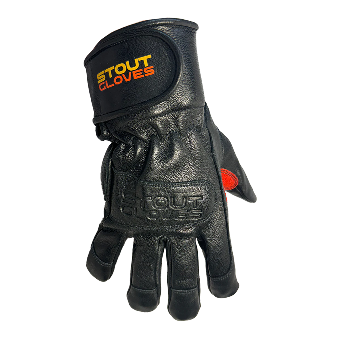 Drakaina | UTLF-2665