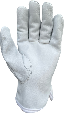 The Pioneer | NT-0912