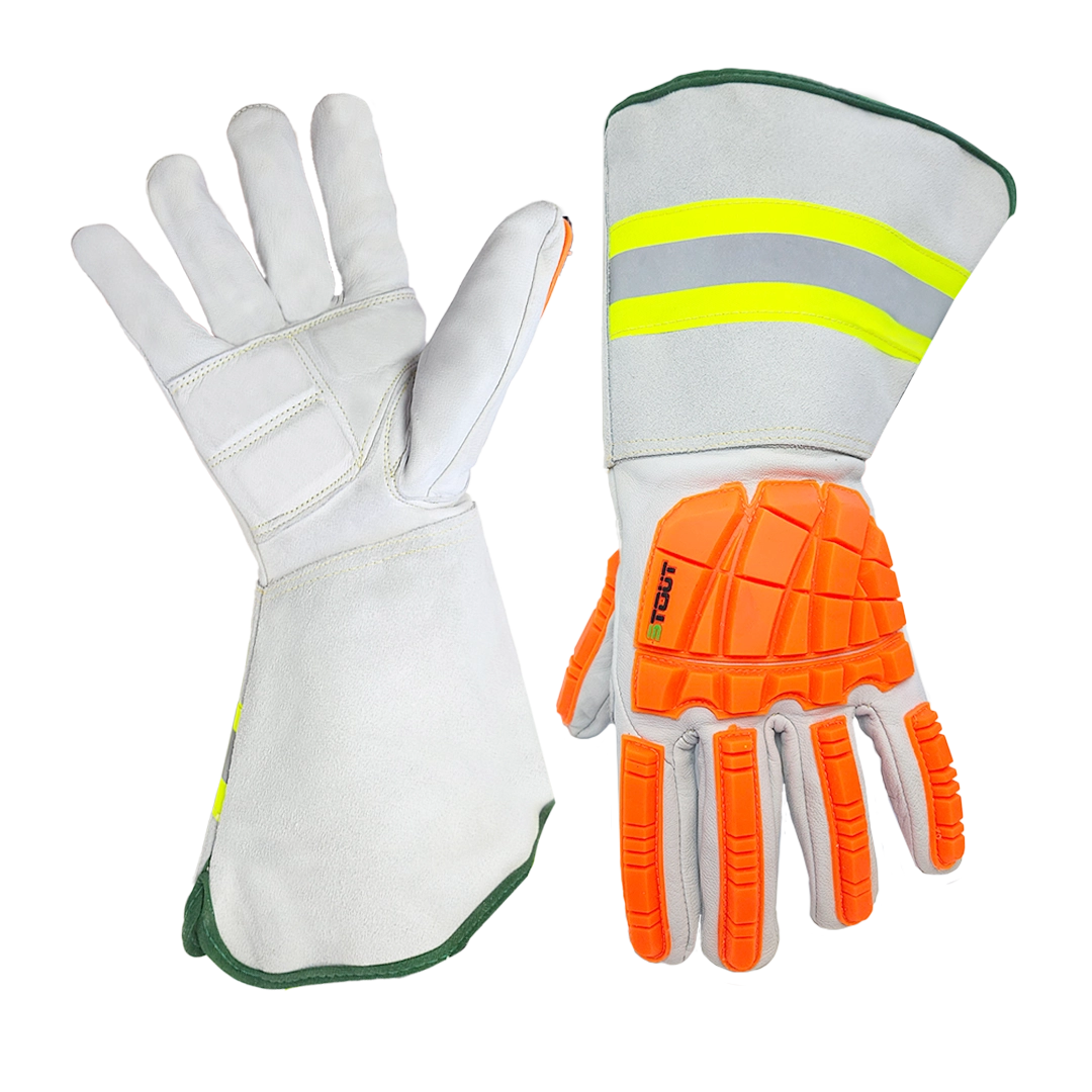 The Dragster | WPNT-0815